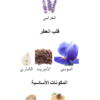 ⁦ديور هوم انتنس⁩ - الصورة ⁦3⁩